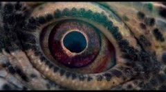 CESTA ČASU / premiéra