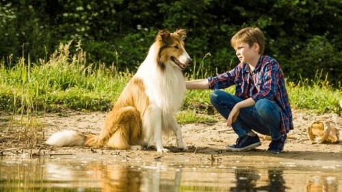 LASSIE SA VRACIA