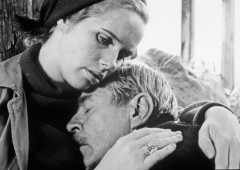 BERGMAN: HANBA / FILM SQUARE 2022