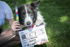 POVEDZ TO PSOM / premiéra