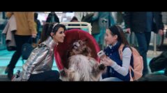 MAČKA A PES: BLÁZNIVÉ DOBRODRUŽSTVO / premiéra