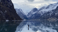 PIESNE ZEME / scandi 2024