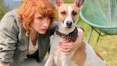 GUMP: SME DVOJKA / premiéra